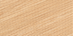 Nanoperforated timber