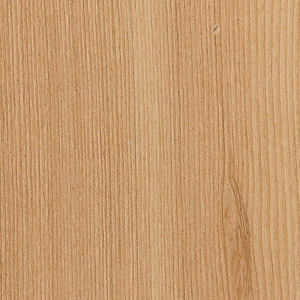 Siberian Larch